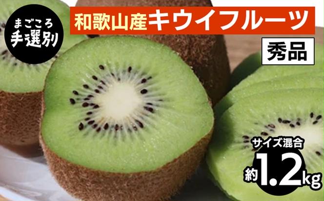 和歌山県産紀の姫キウイフルーツ約1.8kg(玉数おまかせ)・秀品