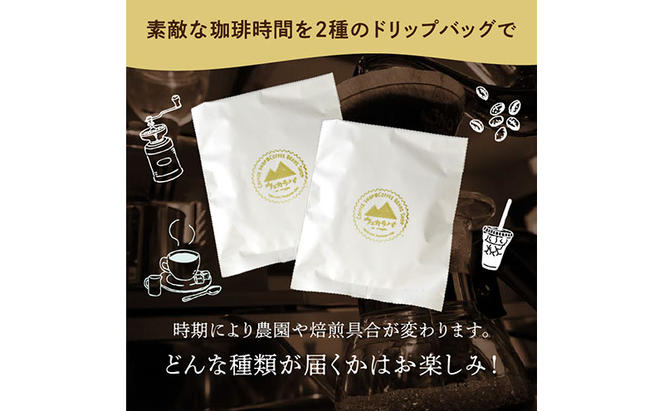 スペシャルティ コーヒー ドリップバッグ セット 2種8袋 おまかせ コーヒー 北海道 滝川市