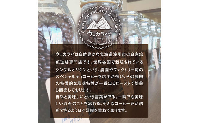 スペシャルティ コーヒー ドリップバッグ セット 2種8袋 おまかせ コーヒー 北海道 滝川市