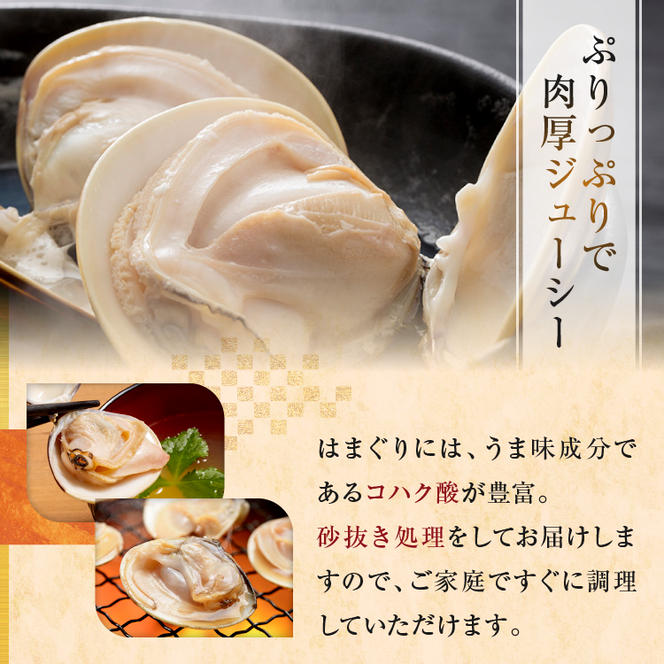 大洗産鹿島灘天然はまぐり 2kg 冷蔵 お吸い物 ハマグリ 蛤 貝 砂抜き処理 魚介類 大洗産 天然 はまぐり