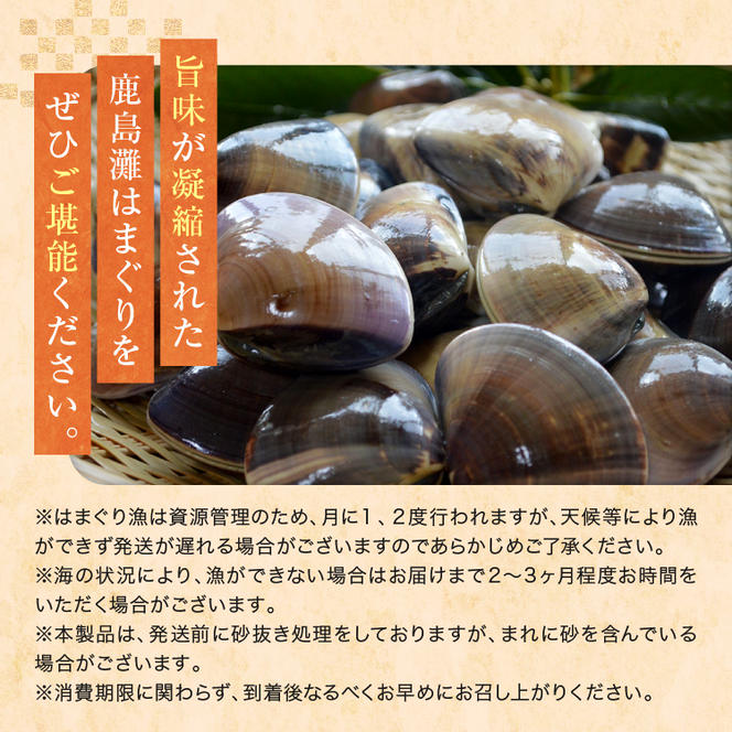 大洗産鹿島灘天然はまぐり 2kg 冷蔵 お吸い物 ハマグリ 蛤 貝 砂抜き処理 魚介類 大洗産 天然 はまぐり