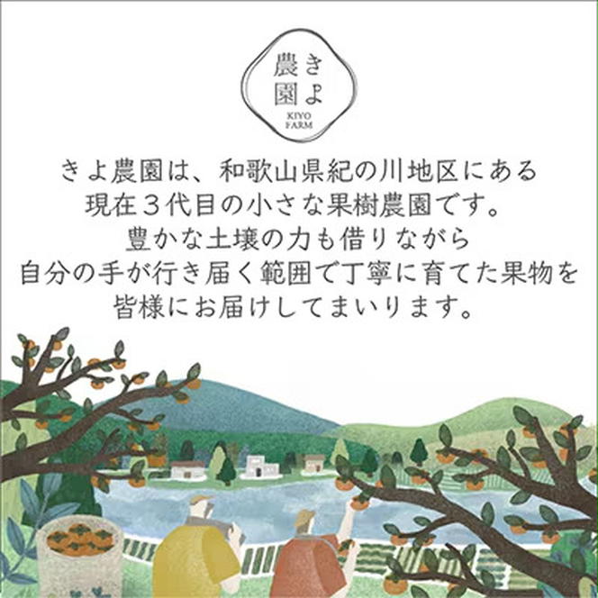 キヨ　ふるさと納税品　お米5キロ✖️2 キヨ様専用 ふるさと納税品 お米5キロ✖️2
