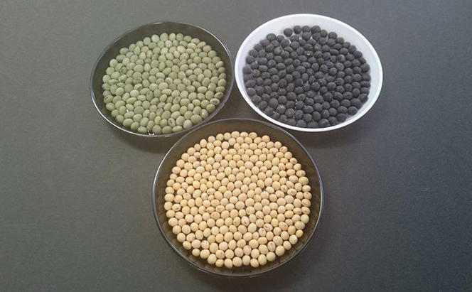 米麹「国津みそ3種セット」白、黒、青大豆