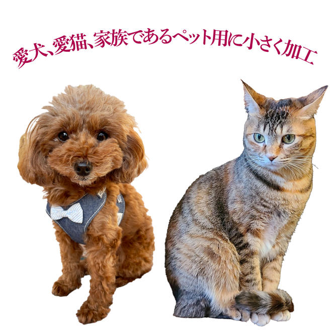 鹿嶋市産！鹿畑ポテト小屋の紅はるか ペット用 おやつ干し芋 合計500g【数量限定 ほしいも 干芋 さつまいも サツマイモ 鹿嶋市 茨城県 10000円以内】（KBR-15）