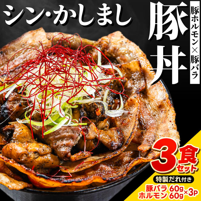 ～最強の鹿島アントラーズサポーター応援メシ～ かしまし豚のホルモン×豚バラ丼 3食セット 特製だれ付き（炭火焼）【かしまし豚 ホルモン 豚バラ 食べ比べ セット】（KDQ-10）