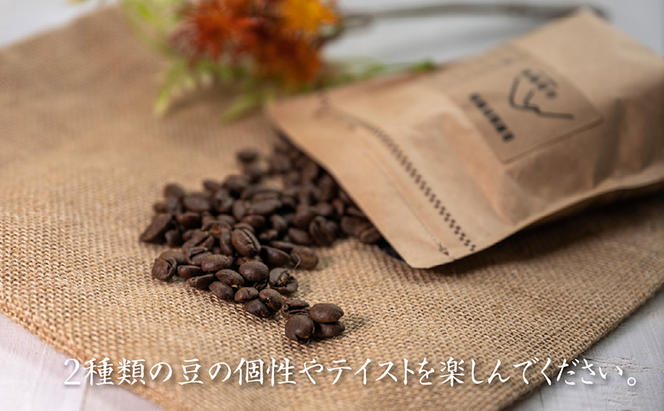 自家焙煎珈琲豆 2種レギュラーコーヒー飲み比べ（各100g×1袋）計200g 飲み物 飲料 良品な生豆 店内焙煎 新鮮 豊かな香り 2種類 個性 テイスト お楽しみ