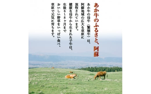 FKK19-991_あか牛切り落とし2.4kg（300g×8パック）