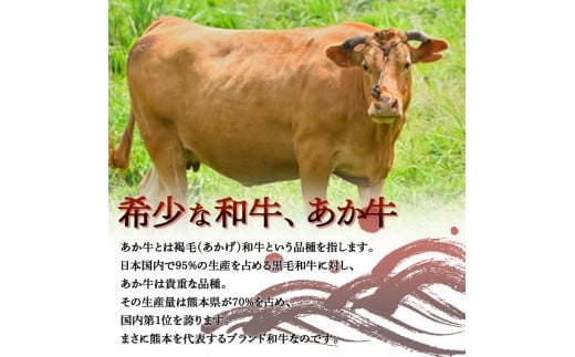 FKK19-993_【6ヶ月定期】あか牛切り落とし2.4kg（300g×8パック）