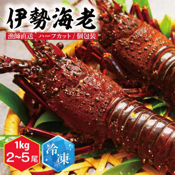 冷凍　伊勢海老　1キロ 伊勢海老冷凍1kg（3~7尾） | 活魚問屋 丸保商店（まるやすしょう