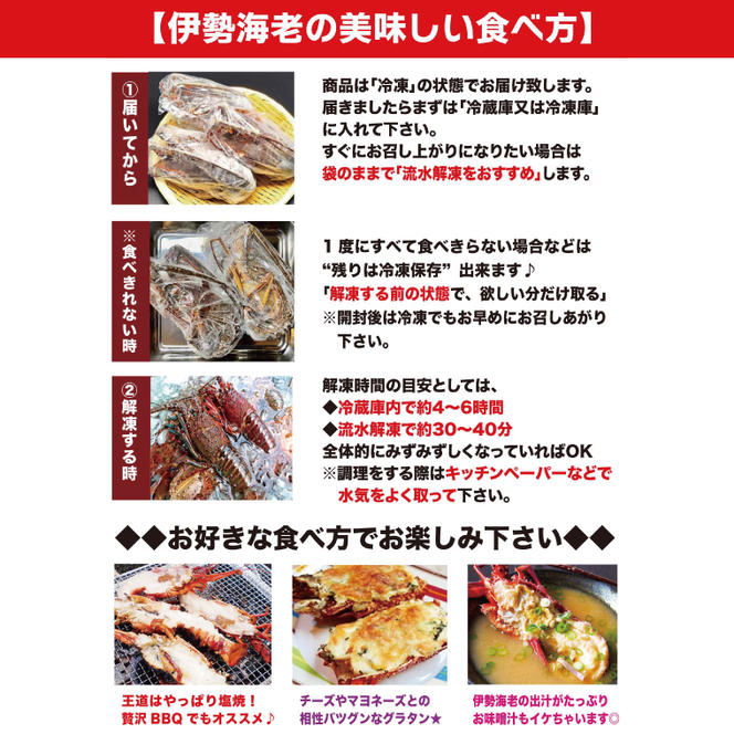 【漁師直送／活〆冷凍】伊勢海老（1kg／2～5尾）（KBL-18)