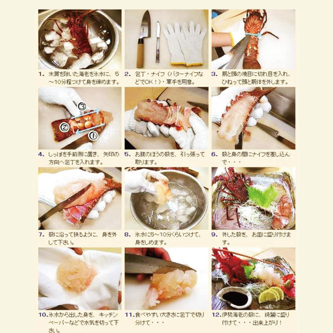 【漁師直送／生】伊勢海老 （3kg／6〜15本） 伊勢エビ (KBL-17)