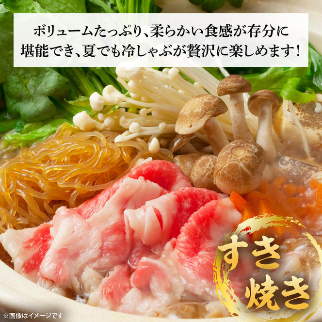 常陸牛切り落とし 約1kg（500g×2）【茨城県共通返礼品】│常陸牛 ひたち牛 牛肉 切り落とし 牛丼 すき焼き 茨城県 取手市（BN012）