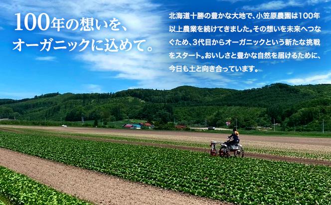 ネギ大事典 ネギ大事典 | 農文協 | 農学 | Kindleストア | Amazon