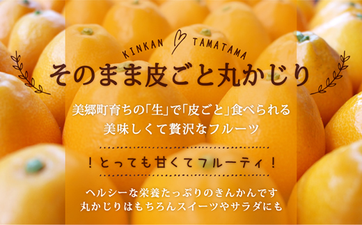 【期間限定発送】 糖度16度以上 きんかん 「たまたま」 1kg A2Lサイズ [農林産物直売所 美郷ノ蔵 宮崎県 美郷町 31ab0062] 金柑 柑橘 果物 フルーツ 国産 九州産 宮崎県産 数量限定