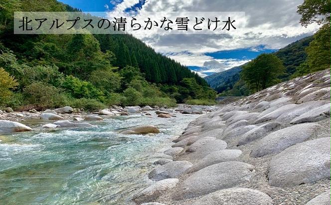 20kg（5kg×4袋）×3ヶ月定期便 富山県うおづ産米コシヒカリ 白米 富山米