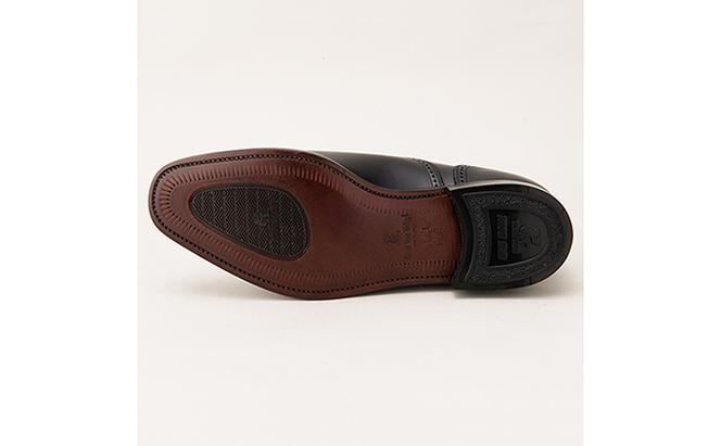 スコッチグレイン 紳士靴 「アシュランス」 NO.3520 メンズ 靴 シューズ ビジネス ビジネスシューズ 仕事用 ファッション パーティー フォーマル