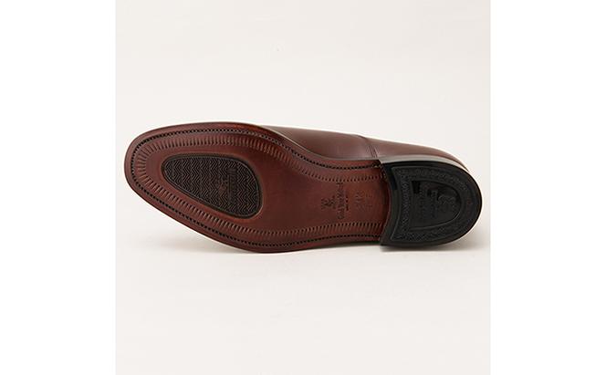 スコッチグレイン 紳士靴 「アシュランス」 NO.3526DBR メンズ 靴 シューズ ビジネス ビジネスシューズ 仕事用 ファッション パーティー フォーマル
