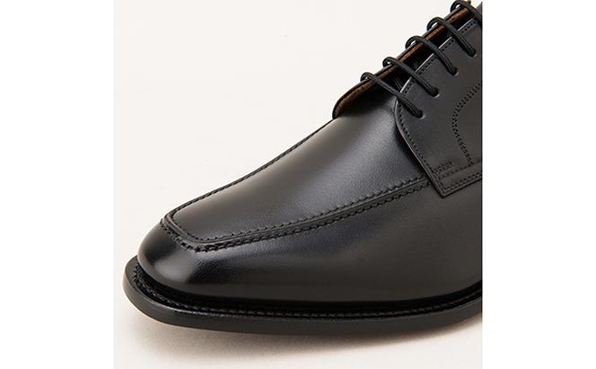 スコッチグレイン 紳士靴 「アシュランス」 NO.3529 メンズ 靴 シューズ ビジネス ビジネスシューズ 仕事用 ファッション パーティー フォーマル