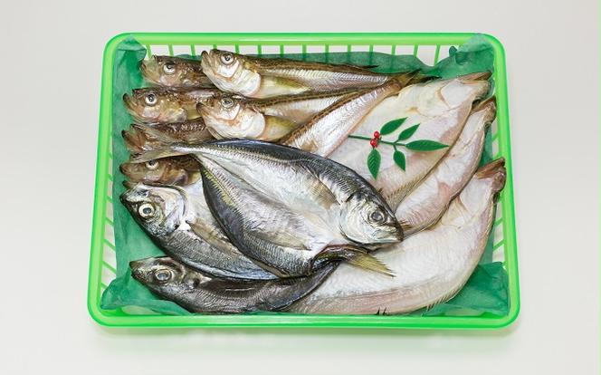 【ふるさと納税】宮津練り物・干物詰合せ  魚貝類 魚 地魚 一夜干し 干物 ひもの 詰め合わせ セット ちくわ かまぼこ 蒲鉾 天ぷら 練り物 おでん うどん 日本酒 肴 珍味 ご飯のお供  日本酒 お取り寄せ 食品 食べ物 おつまみ 贈り物 プレゼント 家庭用 自宅用 送料無料