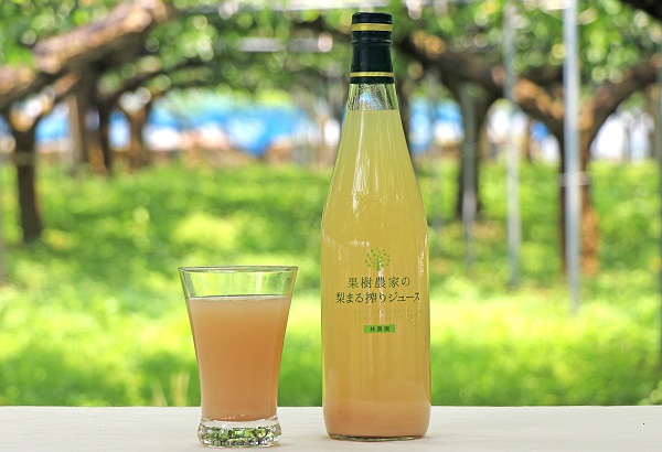 ジュース まる搾り 梨ジュース 720ml×2本 梨 果樹農家 林農園