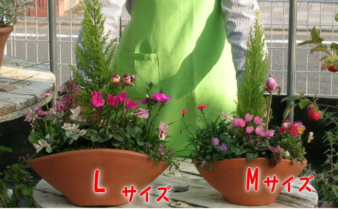 植木 寄植え 可愛いお花畑の寄せ植え L・Mサイズ 2個セット 配送不可 北海道 沖縄 離島