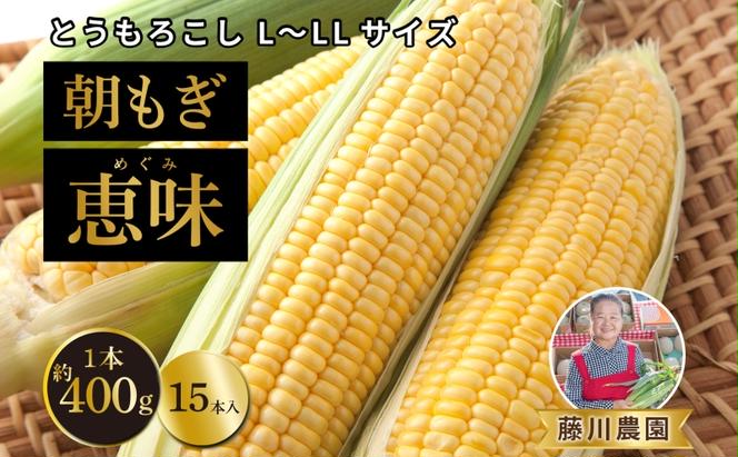 北海道産 朝もぎ とうもろこし 恵味 L-LLサイズ 約400g×15本 スイートコーン ゴールドコーン トウモロコシ とうきび コーン 旬 完熟 野菜 甘い おやつ 産地直送 お取り寄せ 北海道 送料無料 伊達 