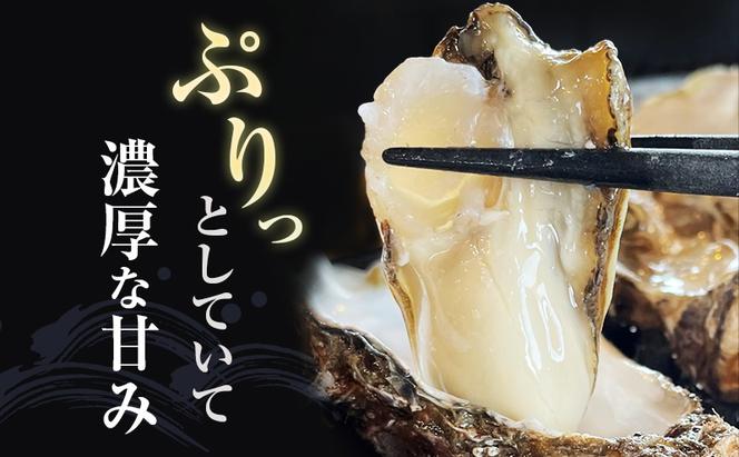 元祖 厚岸バケツ牡蠣セット12個 北海道 牡蠣 カキ かき