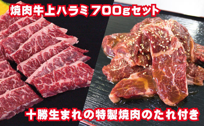 牛上ハラミ（サガリ）700g タレ付き焼肉セット【 牛肉 豚肉 焼き肉 惣菜 冷凍 北海道 十勝 幕別 ふるさと納税 送料無料 】