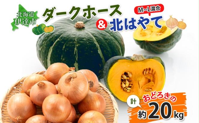 伊達【木須農園】の玉ねぎ・かぼちゃセット(約20kg)