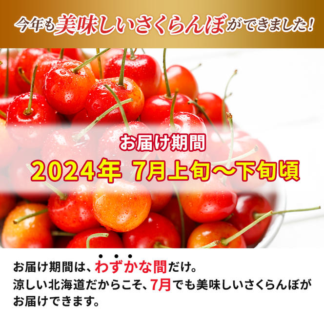 先行予約 北海道 仁木町産 さくらんぼ L サイズ600g　300g×2  仁木ファーム   果実 フルーツ 名産地 
