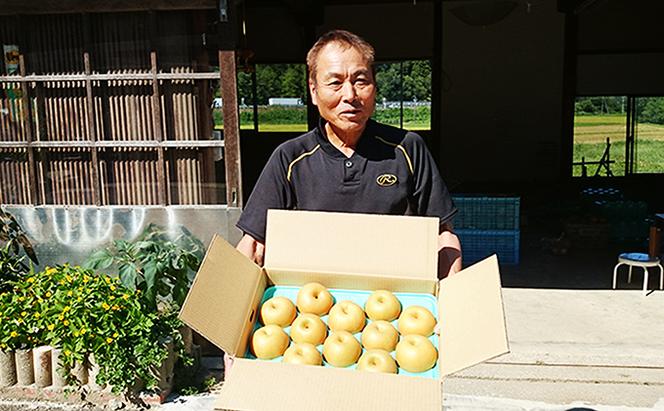 梨 射水の鳥越梨園から直送！【大門梨（新高梨）】5kg  果物 フルーツ なし 北陸 富山 ※2026年9月～発送