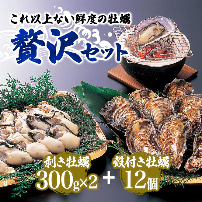  牡蠣 坂越かき 剥き牡蠣 300g×2、殻付き牡蠣 12個 軍手・オイスターナイフ付き[ 生牡蠣 かき カキ 生食 冬牡蠣 ]