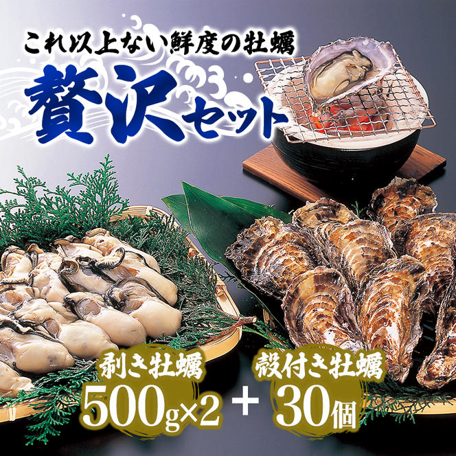  牡蠣 坂越かき 剥き牡蠣 500g×2、殻付き牡蠣 24個 軍手・オイスターナイフ付き[ 生牡蠣 かき カキ 生食 冬牡蠣 ]