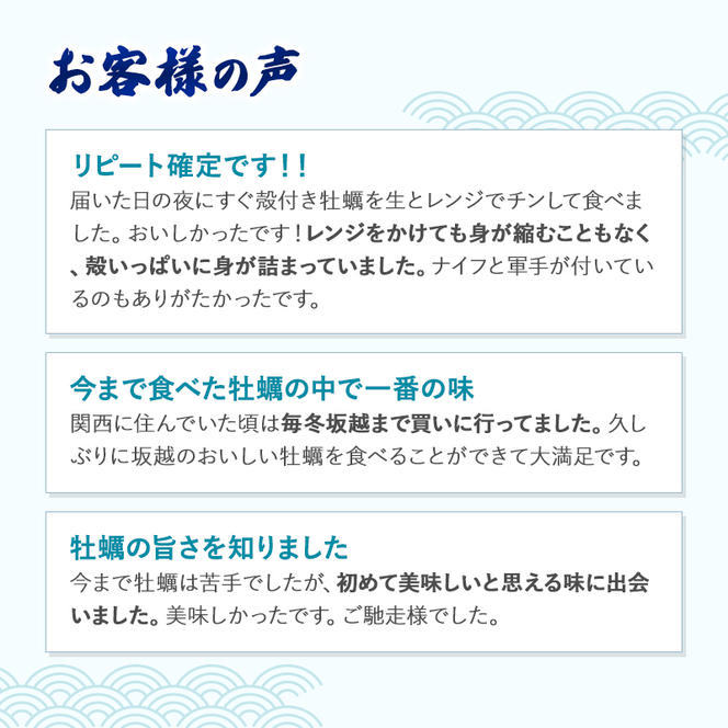  牡蠣 坂越かき 剥き牡蠣 300g×2、殻付き牡蠣 12個 軍手・オイスターナイフ付き[ 生牡蠣 かき カキ 生食 冬牡蠣 ]