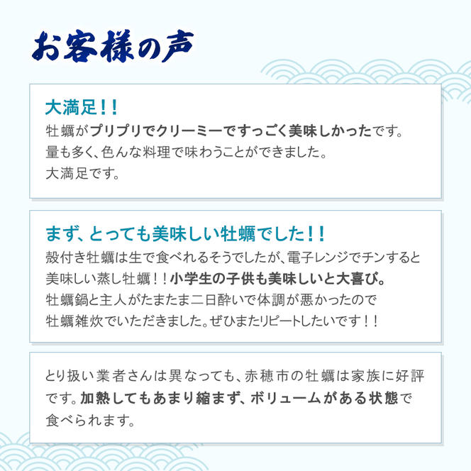  牡蠣 坂越かき 剥き牡蠣 500g×2、殻付き牡蠣 24個 軍手・オイスターナイフ付き[ 生牡蠣 かき カキ 生食 冬牡蠣 ]