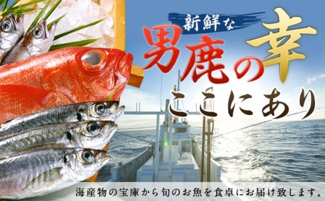 男鹿船川港直送おまかせ旬の地魚セット（小）