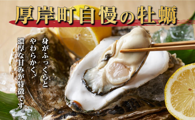 定期便 3ヶ月 北海道 厚岸産 牡蠣 Lサイズ 20個 (各回20個×3ヶ月分,合計60個) 殻付き 生食 カキナイフ付き かき カキ