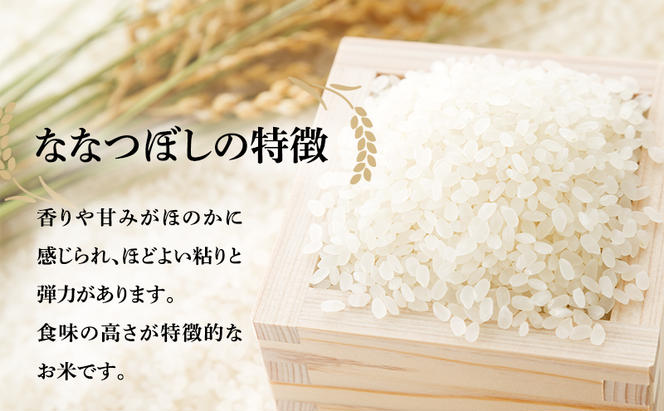 【3ヶ月定期便】北海道南るもい産 ななつぼし（無洗米）5kg×2袋