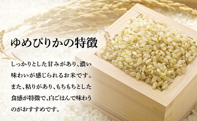【6ヶ月定期便】北海道南るもい産 ゆめぴりか（玄米）10kg