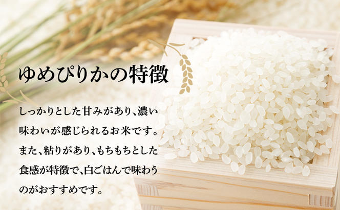 【6ヶ月定期便】北海道南るもい産 ゆめぴりか（白米）5kg×2袋