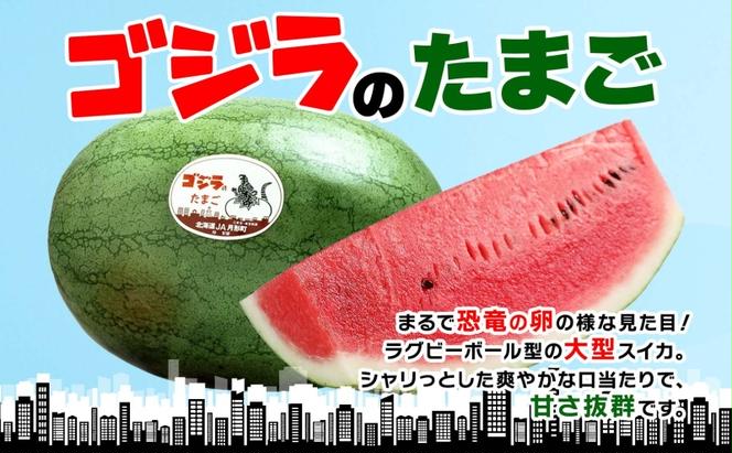 北海道 大玉 スイカ ゴジラのたまご 木箱入り 1玉 約8kg すいか 西瓜 果物 フルーツ 旬 希少 貴重 甘い ユニーク 国産 産地直送 ギフト 贈答品 お取り寄せ エーコープつきがた 送料無料 月形