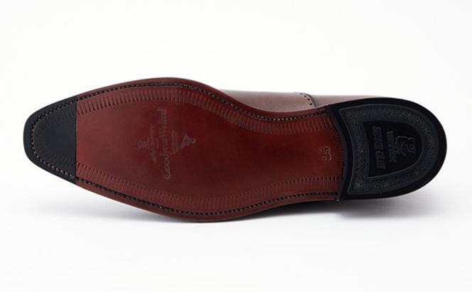 スコッチグレイン 紳士靴 「ベルオム・マーブル」 NO.756DBR メンズ 靴 シューズ ビジネス ビジネスシューズ 仕事用 ファッション パーティー フォーマル