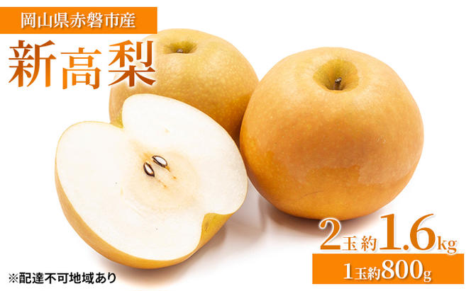 梨 2024年 先行予約 新高梨 2玉 約1.6kg（1玉約800g）岡山県 赤磐市産【配達不可：離島】 なし フルーツ 果物