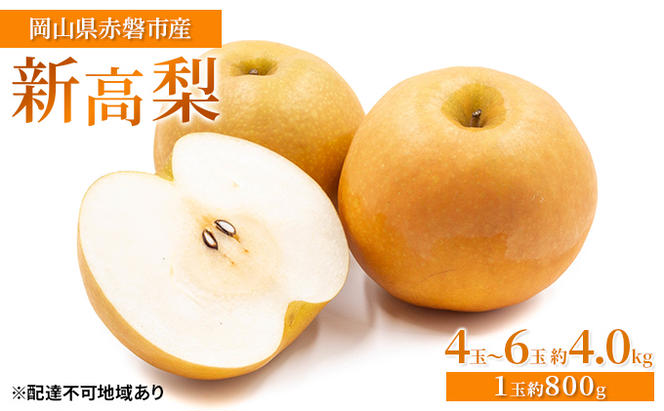 梨 2024年 先行予約 新高梨 4玉～6玉 約4.0kg（1玉約800g）岡山県赤磐市産【配達不可：離島】 なし フルーツ 果物