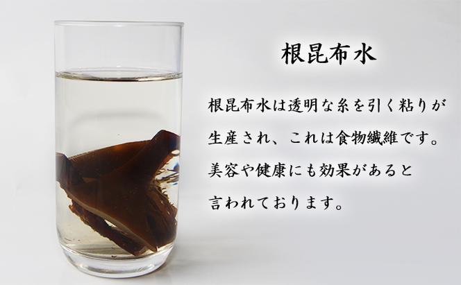 北海道礼文島香深産　5年蔵熟成 天然利尻根昆布1.2kg（300g×4袋）