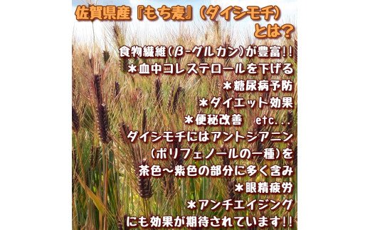 CI015　佐賀県産『もち麦』２kg(１kg×２袋)【ダイシモチ】