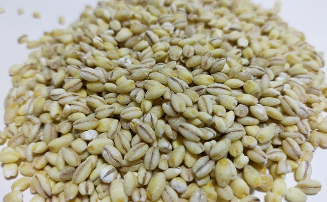 有機無農薬合鴨米（コシヒカリ5kg）・もち麦（フクミファイバー500g）