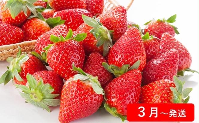 【4回お届け】土庄町 季節の果物