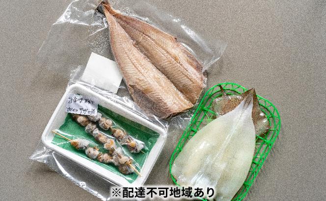 【ふるさと納税】京都 ・ 天橋立 海鮮3種詰め合わせセット 特大ホッケ サザエ串 イカ一夜干し 海鮮 魚貝類 魚 サザエ いか イカ ホッケ 一夜干し