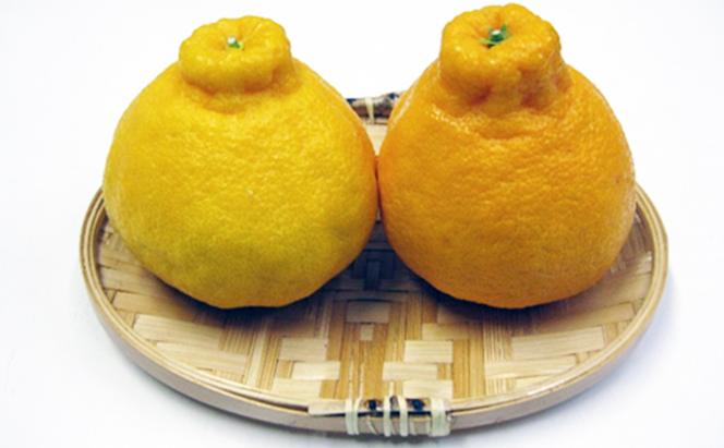 ハウスデコポン 2.8kg 化粧箱 香川県産 デコポン でこぽん フルーツ 果物 くだもの 旬のフルーツ 旬の果物 柑橘 柑橘類 ハウス みかん ハウスみかん 香川 香川県 東かがわ市